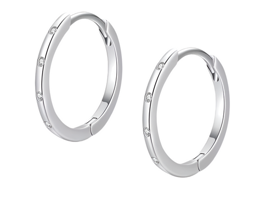 925 Sterling Silver Popular Round Earrings For Women CZ Hypoallergenic Jewelry