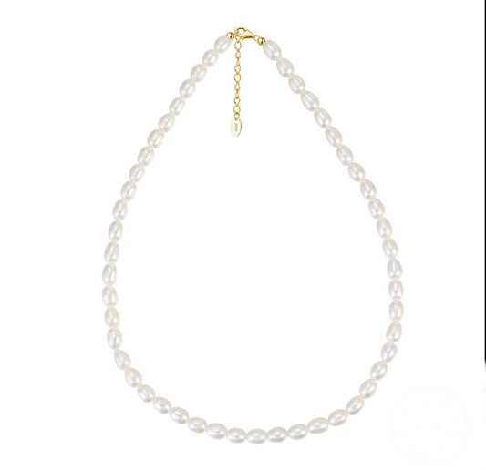 Sterling Silver 5-6mm Cultured Freshwater Pearl Necklace for Women Choker Jewelry