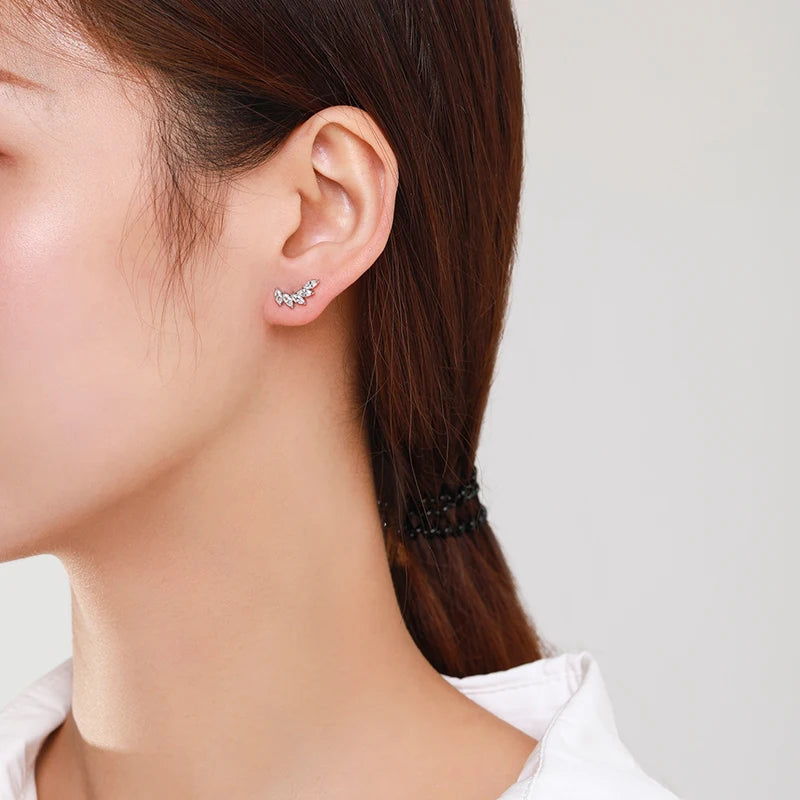 Sterling Silver Zirconia Beautiful Earrings