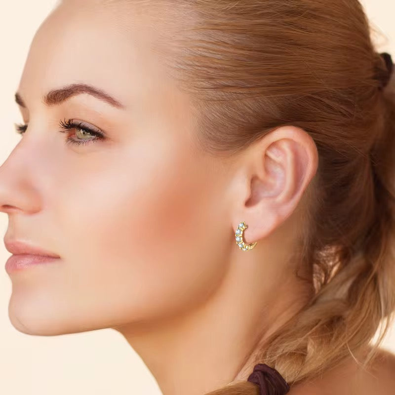 Sterling Silver Moissanite Hoop Earrings